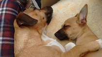 User post image