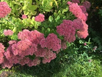 User post image