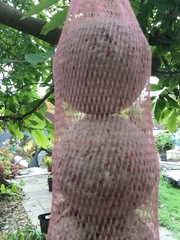 User post image