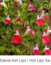 User post image