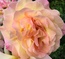 User post image