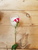 User post image