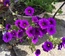 User post image