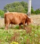 User post image