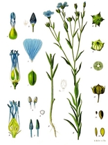 User post image