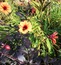 User post image