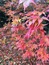 User post image