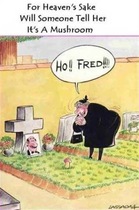 User post image