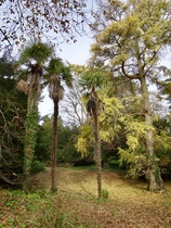 User post image