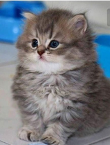 User post image