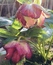 User post image