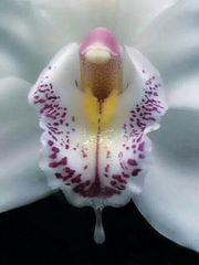 User post image