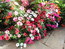 User post image