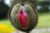 User post image