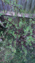 User post image