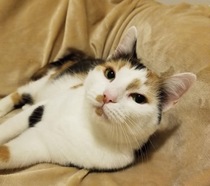 User post image