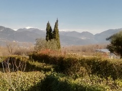 User post image