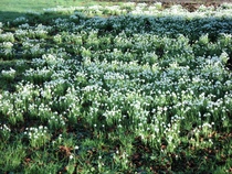 User post image