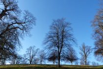 User post image