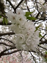 User post image