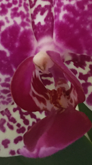 User post image