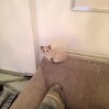 User post image