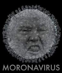 User post image