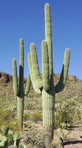 User post image