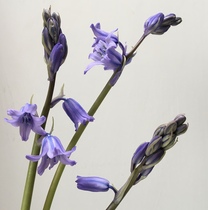 User post image