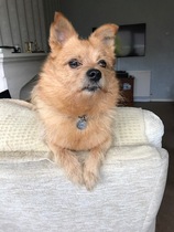 User post image