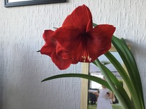 User post image