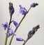 User post image