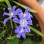 User post image