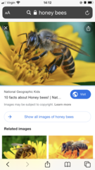 User post image