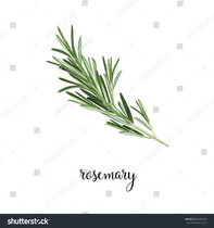 User post image