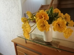 User post image