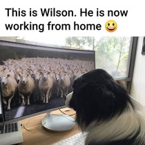 User post image