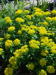 User post image
