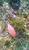 User post image