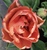 User post image