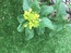User post image