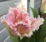 User post image