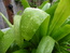 User post image