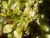 User post image