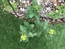 User post image