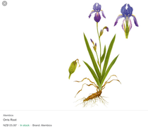 User post image