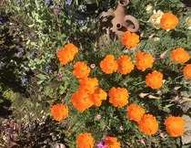 User post image