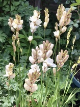 User post image