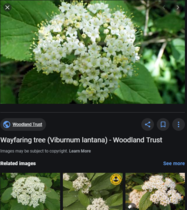 User post image