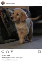User post image